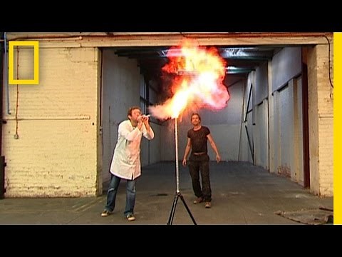 Exploding Custard | I Didn't Know That