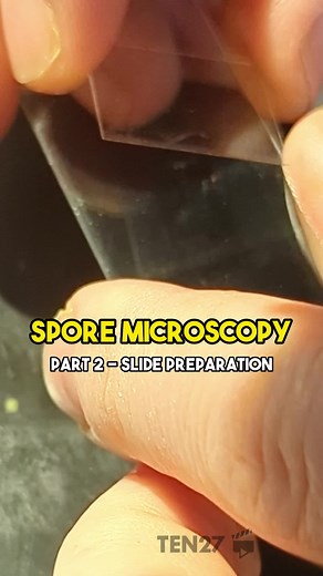 Spore Microscopy Slide Preparation Guide