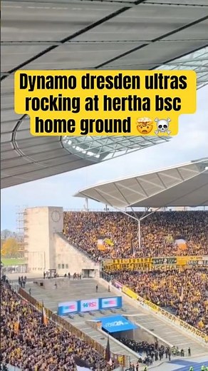 "Insane Scene in Berlin! Dynamo Dresden Fans Jumping Together at Hertha BSC Stadium 🔥💛🖤