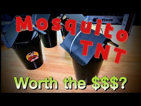 Tougher Than Tom Mosquito TNT Does It Work, A Honest Review?
