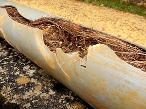 Removing Roots From Drain Pipes: The 4 Ways To Remove Roots