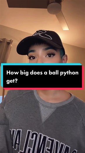 Ball Python Size Insights: Meet Kazoo!