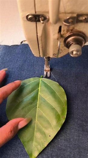 Neck Design Sewing Tips for Beginners: Easy Sewing Technique