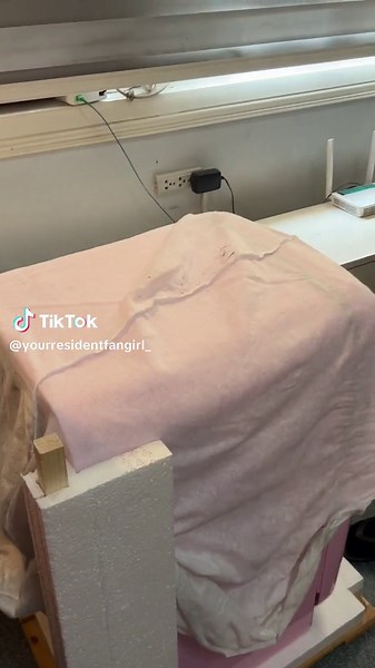 Unboxing My Pink Smeg Personal Ref! 🩷🩷