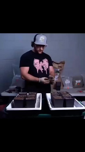 Mr.canucksgrow on TikTok