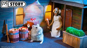 3.2K views · 118 reactions | Our hamster is lost inside this scary maze! 﫣 But don't worry about it, he's one of the bravest hamsters and we are sure he will find a way out. Even if he has to go through the chimney... #Hamster #HomuraHam #Hamsters #FunnyHamsters #CuteHamsters #Pets #Animals #HamsterMaze #HamsterCourse #HamsterLabyrinth #hamsterscarymaze | Homura Ham | Facebook