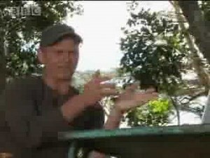 Lions vs hyenas - BBC wildlife