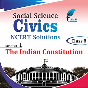 NCERT Solutions for Class 8 Social Science Civics Chapter 1 The Indian Constitution