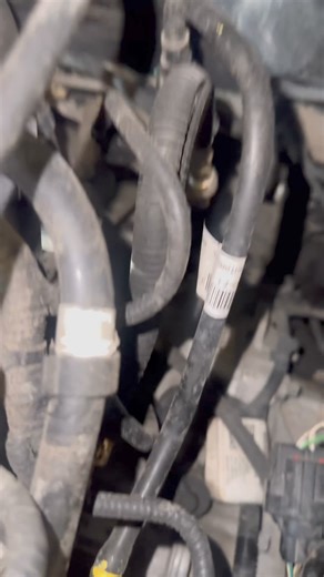 20K views · 164 reactions | Engine code P0131 fix O2 sensor removal tips replacement. Stretched wire harness causes oxygen sensor low voltage check engine light. How to replace remove install. Featured vehicle 2012 Ford Focus. Bank 1 sensor 1 B1S1. Bank one sensor one upstream. Had to heat the sensor up to remove which is the case most times around these parts. #mechanic #p0131 #howto #automotive #oxygensensor #fordfocus #carlsgarage | Carl's Garage | Facebook