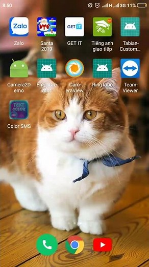 color Theme SMS