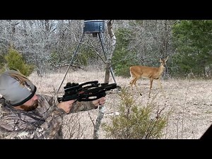 Deer Down... Whitetail hunting with the Reverse Draw Mini Striker Crossbow Pistol