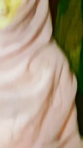 35 reactions | Muhammad Farooq on Reels | Facebook