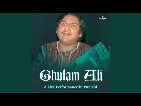 Mere Shauk Da Nahin Aitbaar (Live)