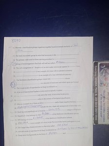 Phenetic classification groups organisms together based on mutu... | Filo