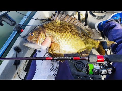 BREAM FISHING FOR BEGINNERS | Setup, Tips & Techniques