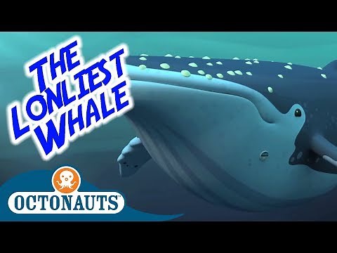 Octonauts - The Lonliest Whale | Full Episode | Cartoons for Kids