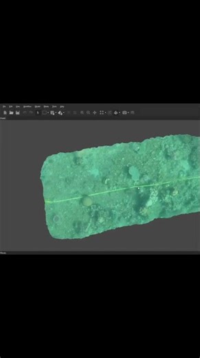 Reef and 3D Model #dauin #marineconservation #marineresearch #divephilippines #3dmodel #coral