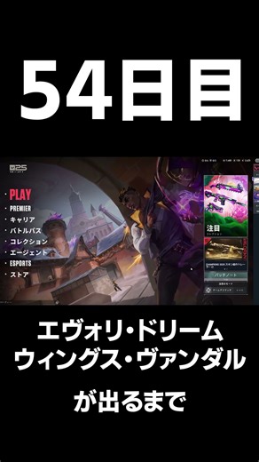エヴォリ・ドリームウィングスヴァンダルが出るまで54日目#valorant