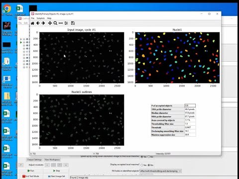 Introduction to CellProfiler - by a biologist, for biologists!