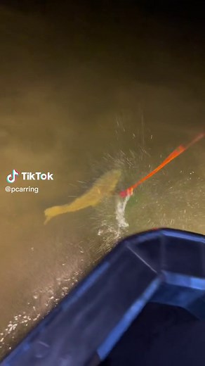 Baptized em! #FULLBLOWNOUTDOORS #IntuitTouchdownDance #bowfishing #fishing #airboat #phoenix #lmfao #carp #suckers #dogfish #epic #cajunbowfishing #sickforit🎣 #michigan #muzzybowfishing #vadar #muzzy @zachnorris1 @gunnerz93 @kylebowens6