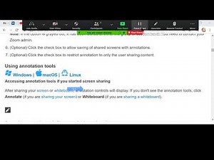 Zoom cursor highlight