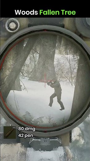 Woods Fallen Tree #escapefromtarkov #ratting #woods