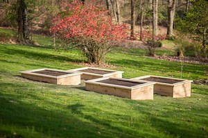 How to Build Raised Garden Beds (on a slope!) - Primal Palate | Paleo Recipes