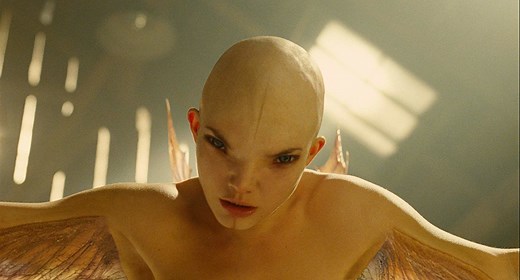 Japan approves experiments splicing human DNA with animal embryos