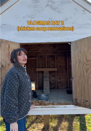 Vlogmas Day 2 🐓🎄 I need help building a new chicken coop. #vlogmas #farmlife #firsttimehomebuyer