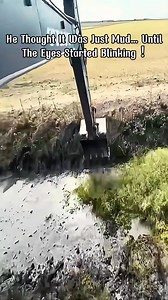 1.6K views | He'S Digging A Pond For Just Three Grand.The Water Surprised Him! #machinery #bulldozer #excavator | casyelsaon | Facebook