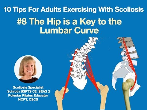 Tip 8: The Hip is a Key to the Lumbar Curve
