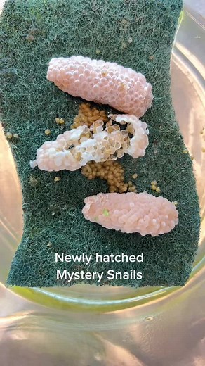 user7492909556347 on TikTok