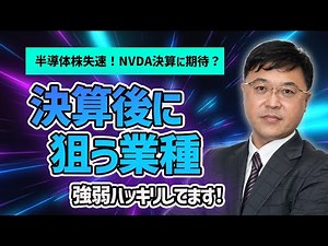 トランプラリーは一服。SOX指数急落で、NVDA決算次第！？トランプ政策に恩恵を受ける業種と、今後の売買戦略を解説します。