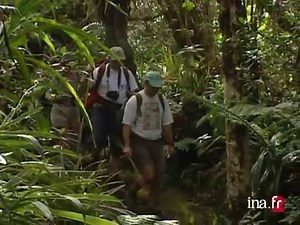 Le tourisme à la Réunion  | Lumni Enseignement
