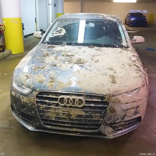 5.5K views · 52 reactions | Muddy A4 Cleaning Makeover | Scrub | Facebook