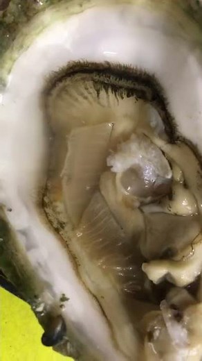 Oyster parasite found in Washington