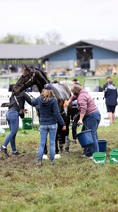 Post-eventing care 101 with Emma Ford! 🩵 Super groom, Emma Ford, who groomed for Olympic athlete, Phillip Dutton, for more than 16 years, provides an overview of the post-care process after each phase of eventing. Defender | Mars Equestrian | USA Eventing