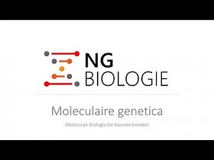 Molecular genetics - basic molecular biology techniques - VWO