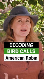 585K views · 20K reactions | Behind every bird sound is a message....