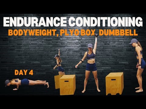 Day 4: Endurance and Conditioning (Bodyweight, Plyo Box and Dumbbell)