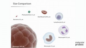 25K views · 596 reactions | Learn about the principles of flow...