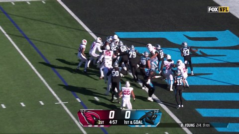 Cardinals vs. Panthers highlights Week 16