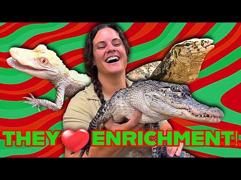 Feeding a Whole Zoo of Reptiles! 🐢🦎🐍