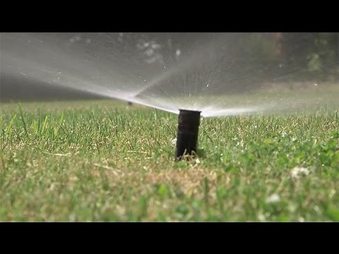 Integrated Pest Management for Turfgrass