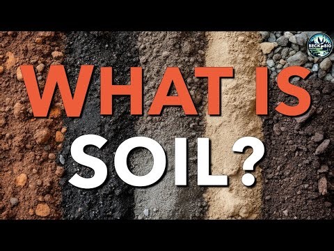 What is Soil?