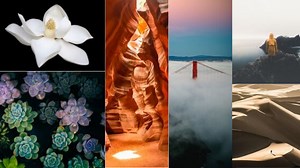 Elements and Principles of Photography • FMoPA | Florida Museum of Photographic Arts | Tampa, Florida