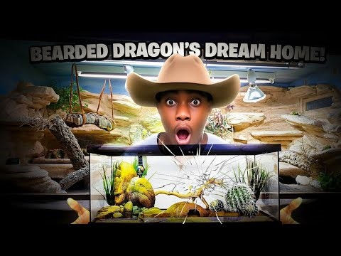 DIY Bearded Dragon Enclosure Upgrade | Tank to Custom Habitat