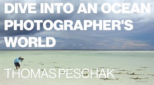 295K views · 1.1K reactions | "On a single breath, swim with me in deep, into one of the largest and densest schools of fish I have ever encountered." — Ocean photographer Thomas Peschak This is the first TED Talk filmed in the water. Happy #WorldOceansDay! | TED | Facebook