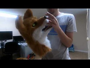 Fox “Fursuit” Review & Suit Up