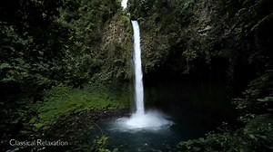 168K views · 6.4K reactions | ‼️ The Spring Waltz, attributed to Frédéric Chopin, was actually composed by Paul de Senneville under the name "Mariage d'Amour".❤ | Inspire Art | Facebook